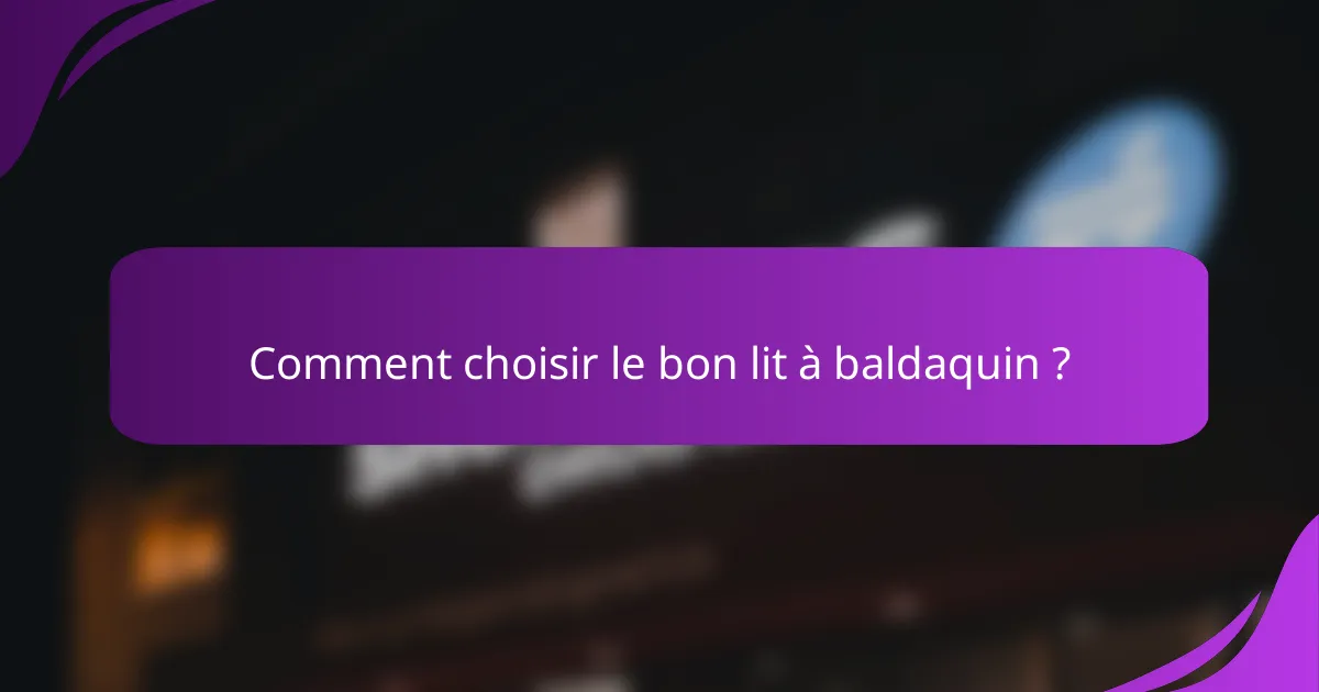 Comment choisir le bon lit à baldaquin ?