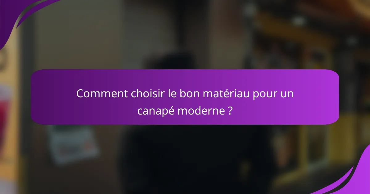 Comment choisir le bon matériau pour un canapé moderne ?