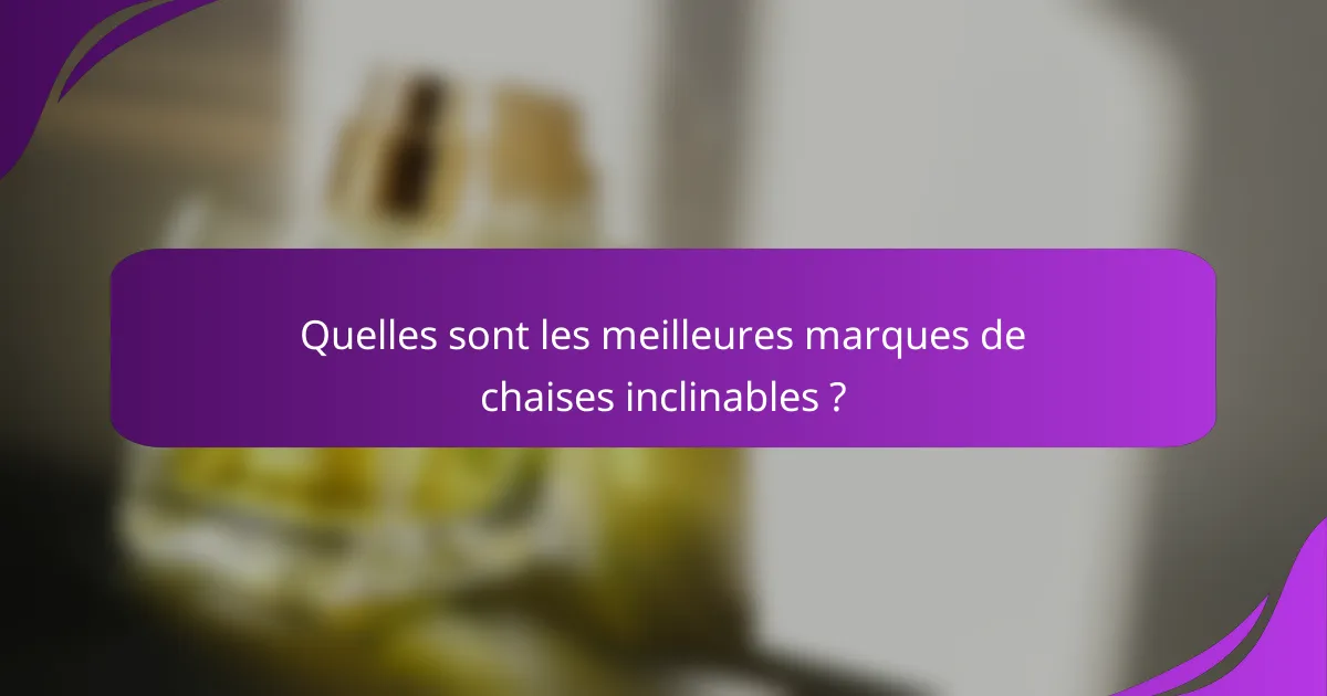 Quelles sont les meilleures marques de chaises inclinables ?